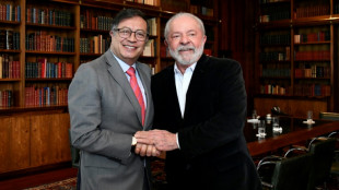Lula e Petro concordam em fortalecer o combate aos crimes ambientais na Amaz&ocirc;nia