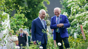 S&eacute;cheresse, inondations: le c&eacute;l&egrave;bre Chelsea Flower show de Londres s'adapte