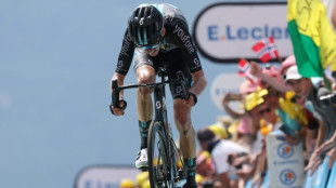 Tour de France: Bardet et Gaudu font de la r&eacute;sistance