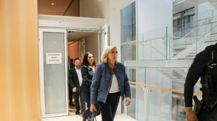 Proc&egrave;s du RN: in&eacute;ligibilit&eacute; imm&eacute;diate pour Marine Le Pen