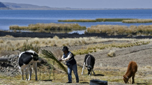 El cambio clim&aacute;tico podr&iacute;a aumentar el n&uacute;mero de muertes relacionadas con conflictos, afirma el FMI