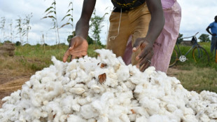 Au Burkina, les violences jihadistes bouleversent la production de coton