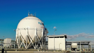 Japan-Australia flagship hydrogen project stumbles