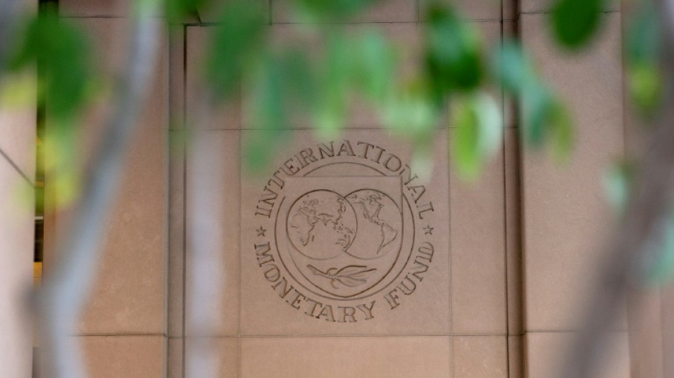El FMI abre la v&iacute;a para desembolsar a Argentina unos USD 2.000 millones
