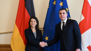 Baerbock: Georgien geh&ouml;rt zur EU 
