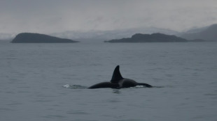 Océan: le sommet de Nice s'achève, avec un cap clair sur la haute mer