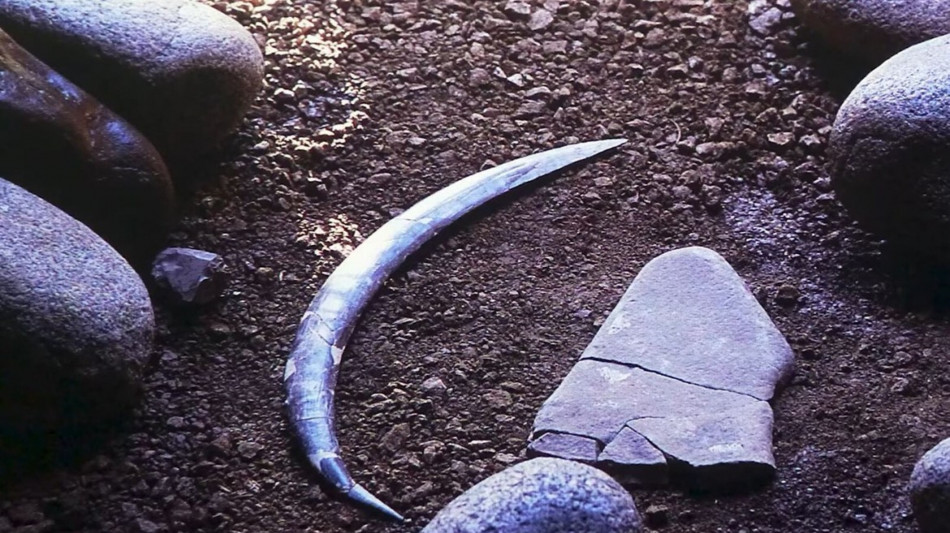 Scoperto il boomerang più antico d'Europa