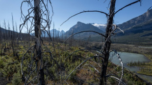 Kanadas Provinz Alberta erkl&auml;rt wegen &uuml;ber hundert Waldbr&auml;nden Ausnahmezustand