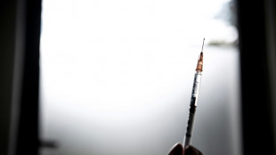 Variole du singe: trois d&eacute;c&egrave;s hors d'Afrique, dont deux en Espagne