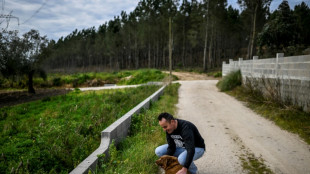 Bobi pierde su t&iacute;tulo de "perro m&aacute;s longevo de todos los tiempos"