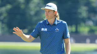 Smith among PGA players set for LIV Golf jump: reports