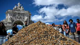 Ecologistas forman un enorme mont&oacute;n de colillas de cigarrillo en Lisboa