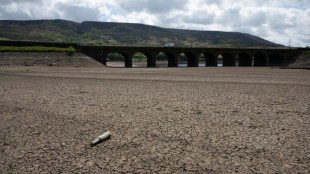 Over half of Europe and Mediterranean basin hit by drought in mid-May