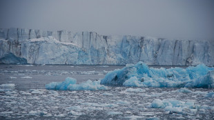 Nel 2025 l'Italia ospiter&agrave; la 'Davos dell'Artico'