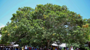 Cl&atilde; do Golfo ganha dezenas de milh&otilde;es de d&oacute;lares por travessia de migrantes no Dari&eacute;n