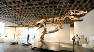 "Gus", o tiranossauro mais completo do mundo, &eacute; apresentado em NY antes de leil&atilde;o