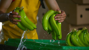 Ecuador considera "imposible" acuerdo comercial con M&eacute;xico sin banano y camar&oacute;n