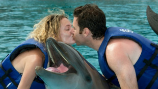 Mexican lawmakers vote to ban dolphin shows