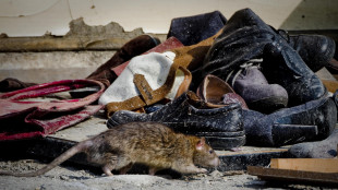 La peste potrebbe aver colpito l'Europa gi&agrave; prima del Medioevo