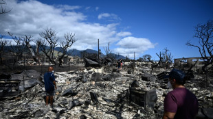Zahl der Toten nach Br&auml;nden auf Hawaii steigt auf  mindestens 80