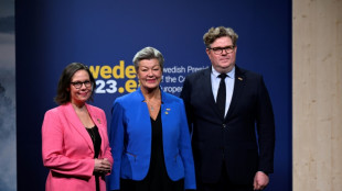 Br&uuml;ssel gegen &Ouml;sterreichs Milliarden-Forderung zum Grenzschutz