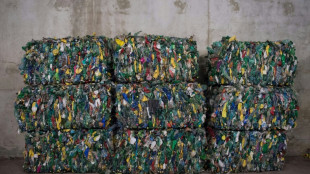 Plastique: le gouvernement veut pousser l'industrie du réemploi et du recyclage