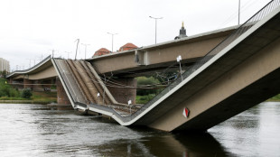 Allemagne: effondrement partiel d'un pont &agrave; Dresde, pas de victimes
