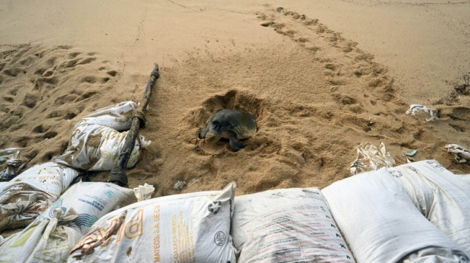 Hurac&aacute;n Hilary amenaza al noroeste de M&eacute;xico y al sur de California