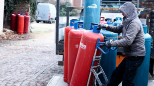 Kanzler Scholz nimmt an deutsch-belgischem Energietreffen teil 