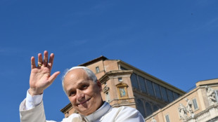 El papa une fuerzas con Schwarzenegger para "terminar" con el cambio clim&aacute;tico