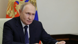 Putin, bajo orden de arresto de la CPI, no viajar&aacute; a la cumbre de los Brics en Brasil
