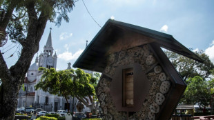 "Hoteles para abejas" potencian polinizaci&oacute;n en Costa Rica