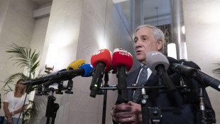 FI, chiediamo incontro ad alleati sulle preferenze, per ora &egrave; un 'ni'