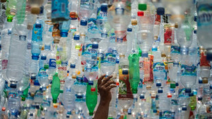 OECD: Nur neun Prozent des verwendeten Plastiks wird recycelt