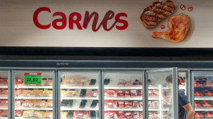 Carne brasileira n&atilde;o entra para lista europeia de respeito &agrave;s normas sanit&aacute;rias