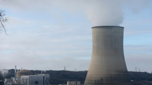 Nucl&eacute;aire: la nouvelle autorit&eacute; de s&ucirc;ret&eacute; d&eacute;marre mais beaucoup reste &agrave; faire