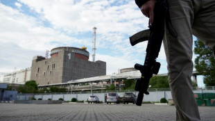 Ukraine: le chef de l'AIEA attendu &agrave; la centrale nucl&eacute;aire de Zaporijjia