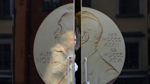2024 Nobel Peace Prize, a plea in favour of world order?