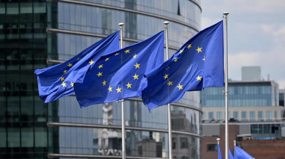 Diplomaten: EU einigt sich auf Aufhebung aller Wirtschaftssanktionen gegen Syrien