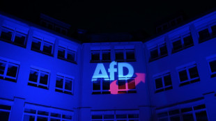 Nach Verfassungsschutzgutachten: Innenminister verst&auml;ndigen sich auf Umgang mit AfD