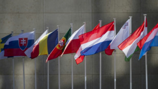L'&eacute;conomie europ&eacute;enne r&eacute;siste &agrave; Trump au premier trimestre