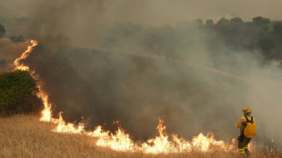 Quase 260.000 deslocados por inc&ecirc;ndios que assolam Espanha e Fran&ccedil;a