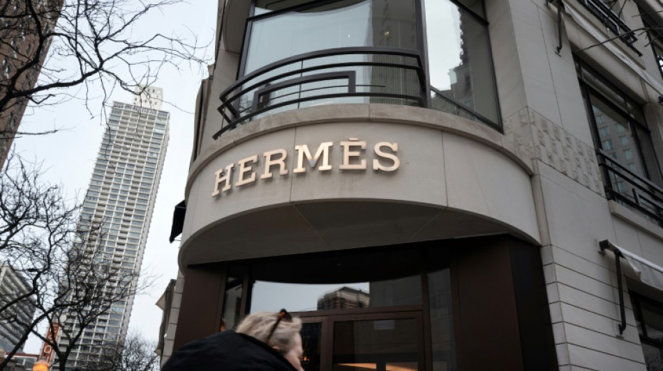 Hermes to hike US prices to offset tariff impact