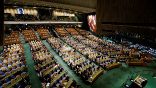Argentina reclama en la ONU al FMI que deje de cobrar sobretasas de inter&eacute;s