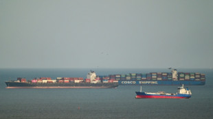 Le transporteur maritime chinois Cosco annonce une reprise partielle des r&eacute;servations de fret vers le Golfe