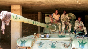 Sudan army strike kills at least 12 in Darfur: monitors