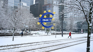 Digital euro delay could leave Europe vulnerable, ECB warns