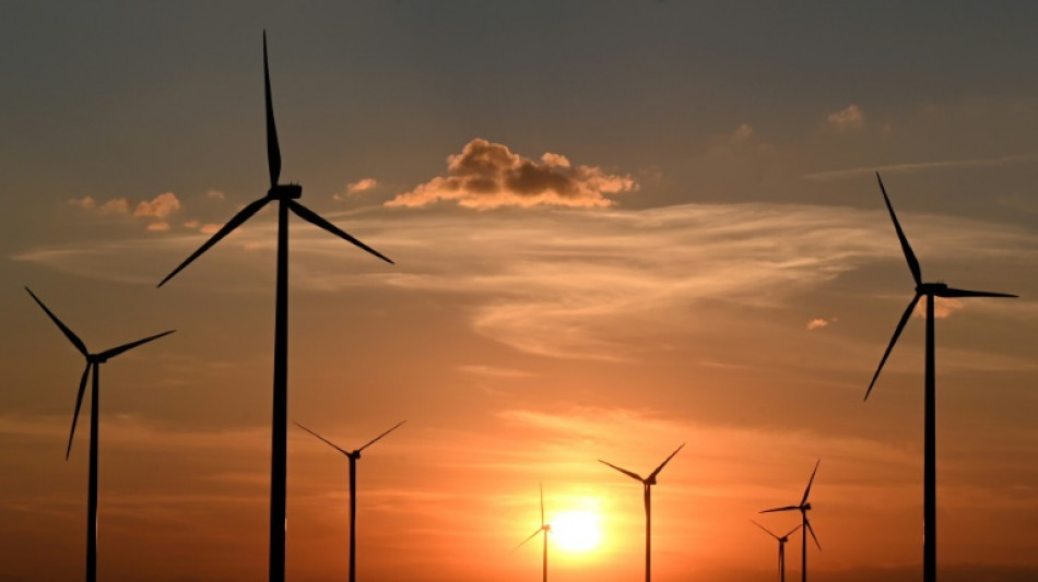 Scholz will bis 2030 vier bis f&uuml;nf Windr&auml;der pro Tag an Land bauen lassen