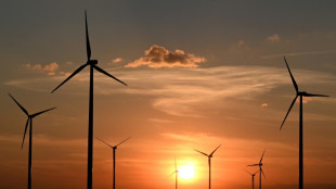 Scholz will bis 2030 vier bis f&uuml;nf Windr&auml;der pro Tag an Land bauen lassen