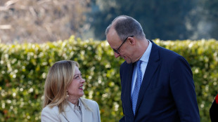 Merz, Ue si difender&agrave; dai dazi con tutti gli strumenti possibili